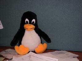 Aww, Tux!